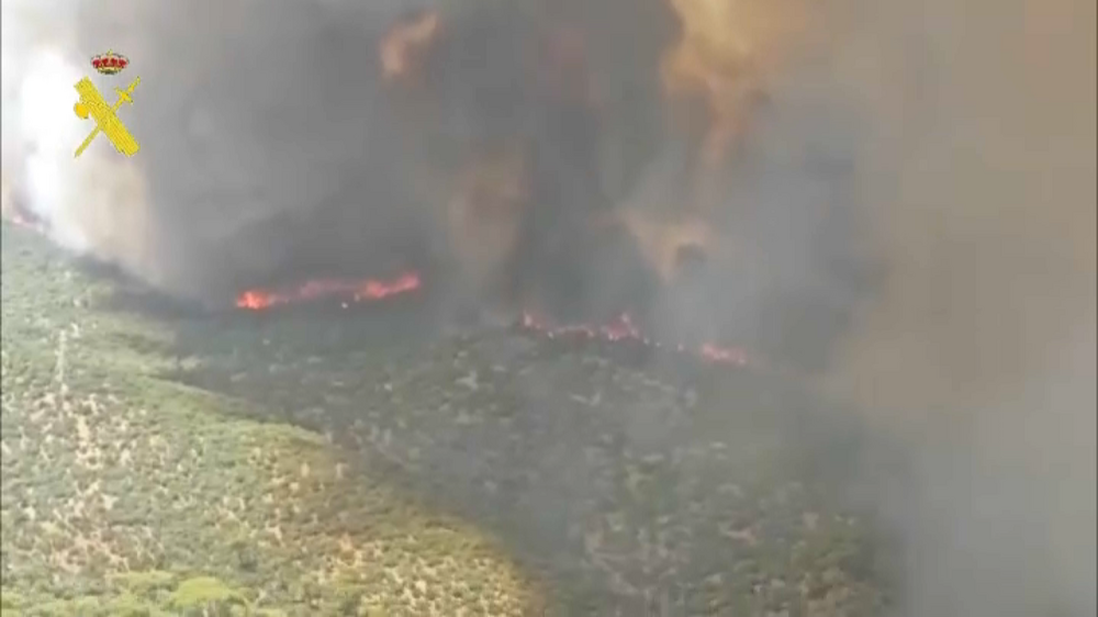 Governo espanhol declara situação de emergência devido a incêndios na região de Madrid 