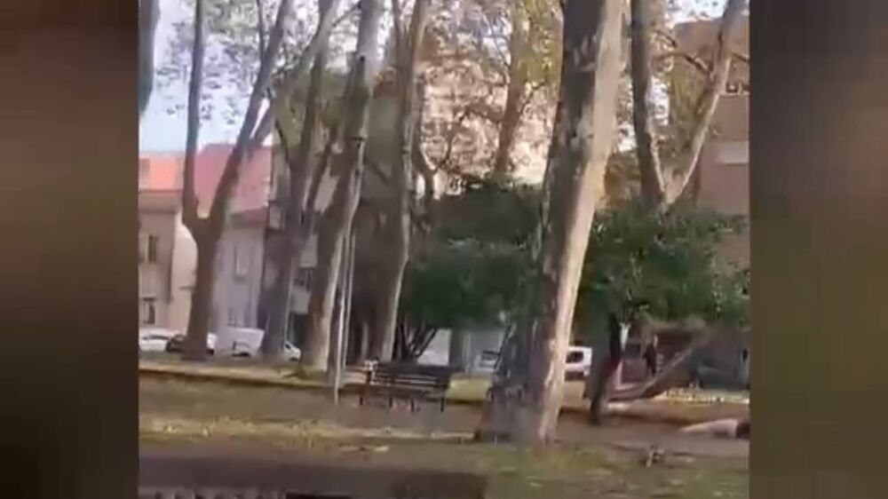 Suspeito de matar a ex-companheira no Porto já a tinha agredido a soco e pontapé duas semanas antes do crime 