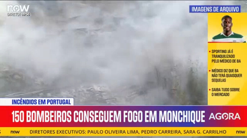 Incêndio florestal em Monchique em fase de resolução após combate de mais de 100 operacionais