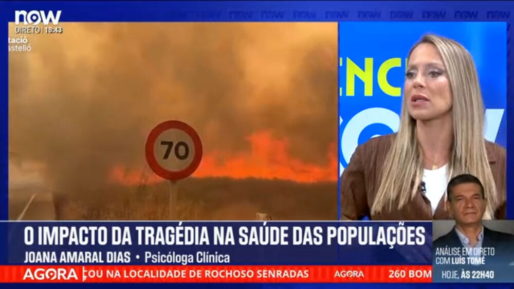 Incêndios: «O nosso cérebro está preparado para ter um grande medo dos fogos»