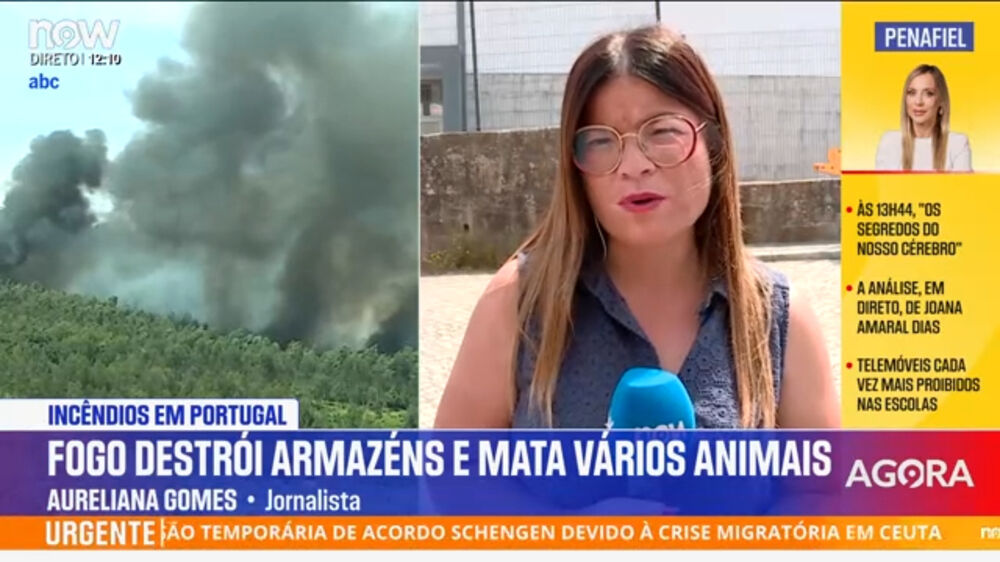 Incêndio em Penafiel chega perto de casas. Está agora em fase de vigilância 