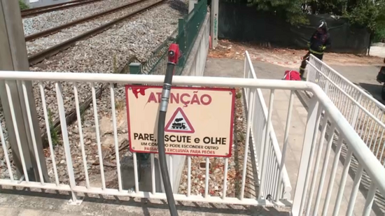 Jovem de 19 anos morre atropelado por comboio na linha do Norte, na Ribeira de Santarém 