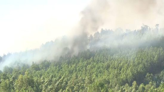 Homem de 46 anos e mulher de 21 detidos por atear cinco incêndios florestais em agosto do ano passado 