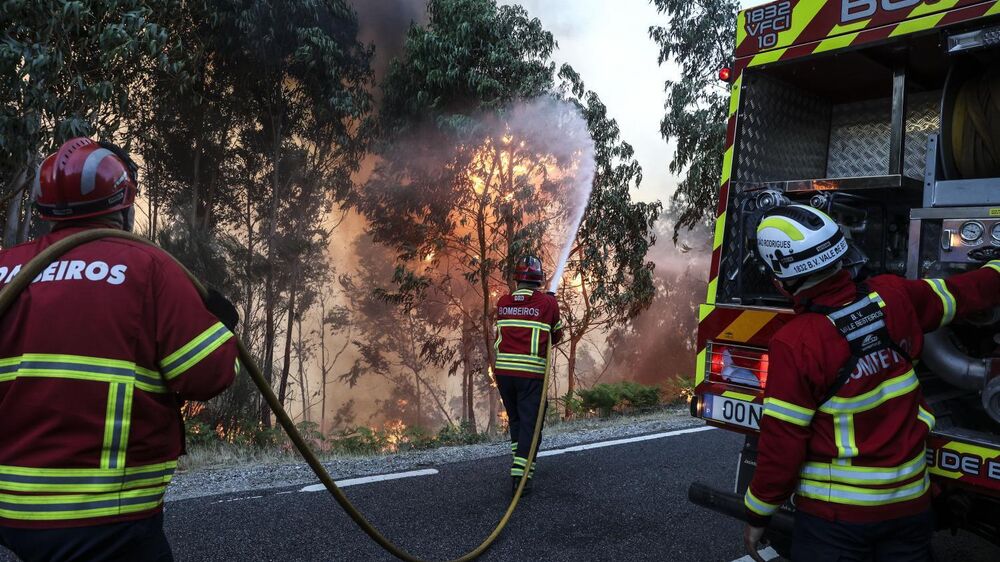 Vinte concelhos de sete distritos em perigo máximo de incêndio