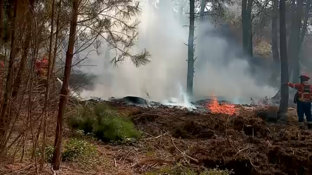 Quatro bombeiros feridos no incêndio de Arouca