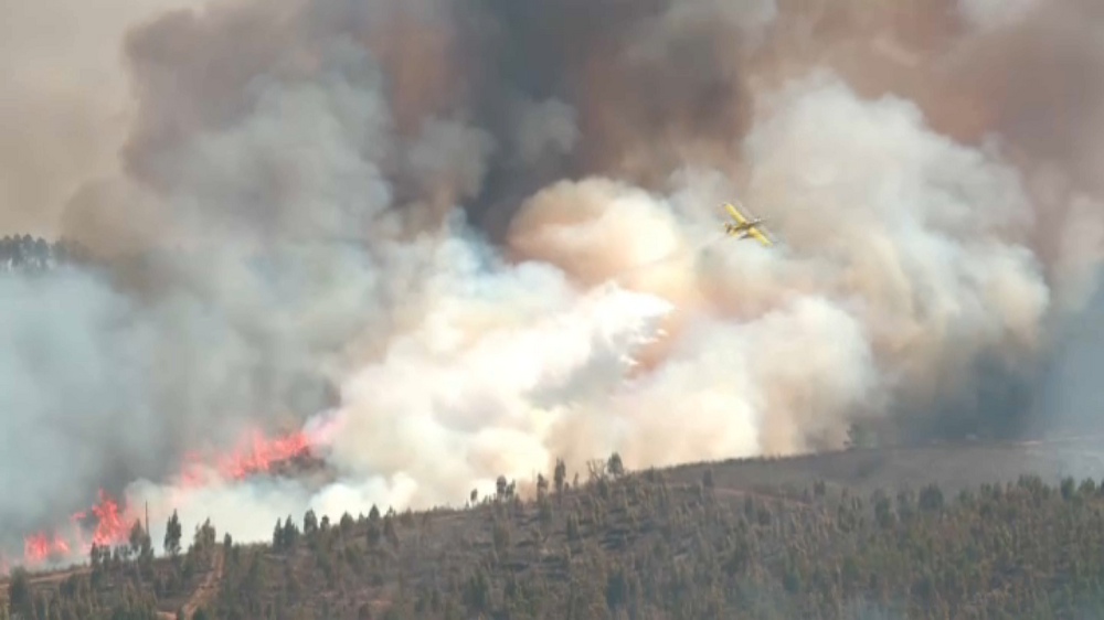 Incêndio que lavrou na zona da Serra de Portel consumiu perto de 1500 hectares 