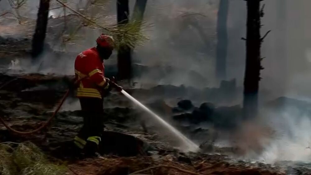 Incêndios: Fogo em Aveiro dado como dominado