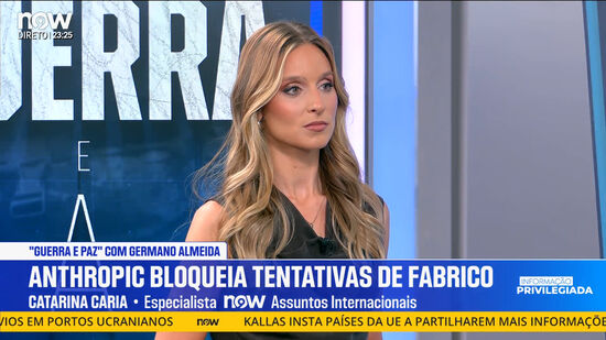 Guerra e Paz | 391| Catarina Caria