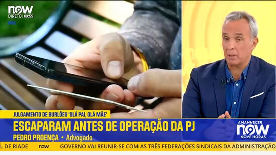 Burla 'Olá pai, olá mãe': «Estamos a falar de verdadeiras cadeias industriais do crime», afirma Pedro Proença